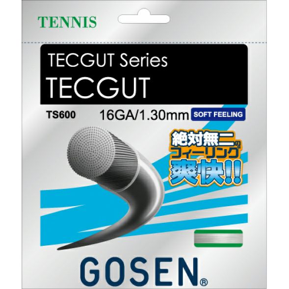 ゴーセン(GOSEN) テニスストリング テックガット 16(TS600)/16L