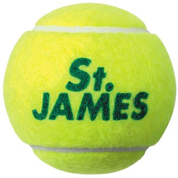 ダンロップ(DUNLOP) 硬式テニスボール セントジェームス (St.JAMES) 4 